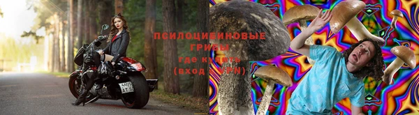 крисы Тобольск