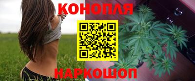 крисы Можайск