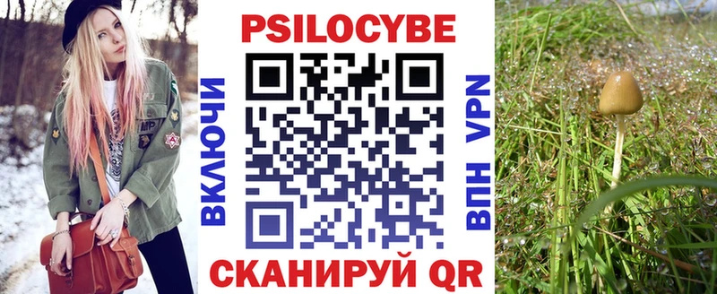 купить   KRAKEN зеркало  Галлюциногенные грибы GOLDEN TEACHER  Гатчина 