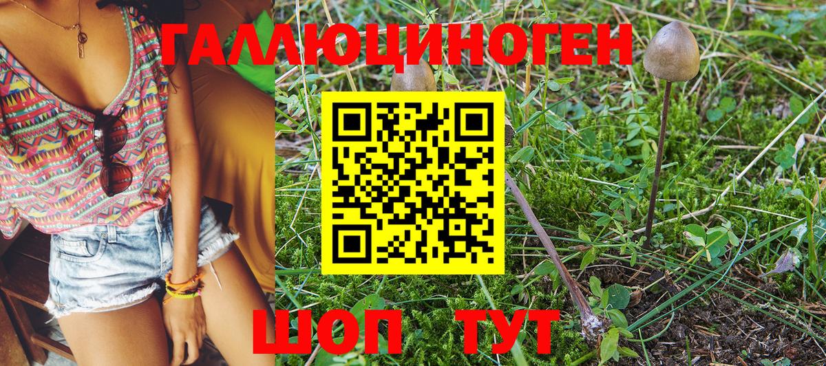 Гатчина  Галлюциногенные грибы Magic Shrooms  Вход с VPN 