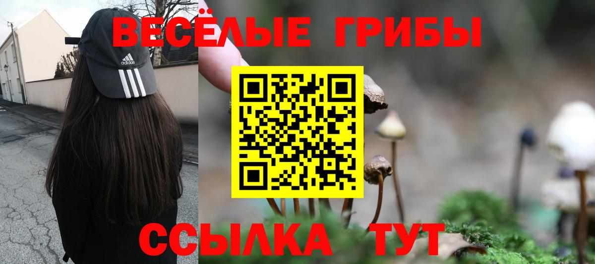 Мефедрон кристаллы  Конопля  Гатчина  ЭКСТАЗИ  ГАШИШ  МЕФ  Кокаин  Вход с VPN  Купить закладку  ГАШ 